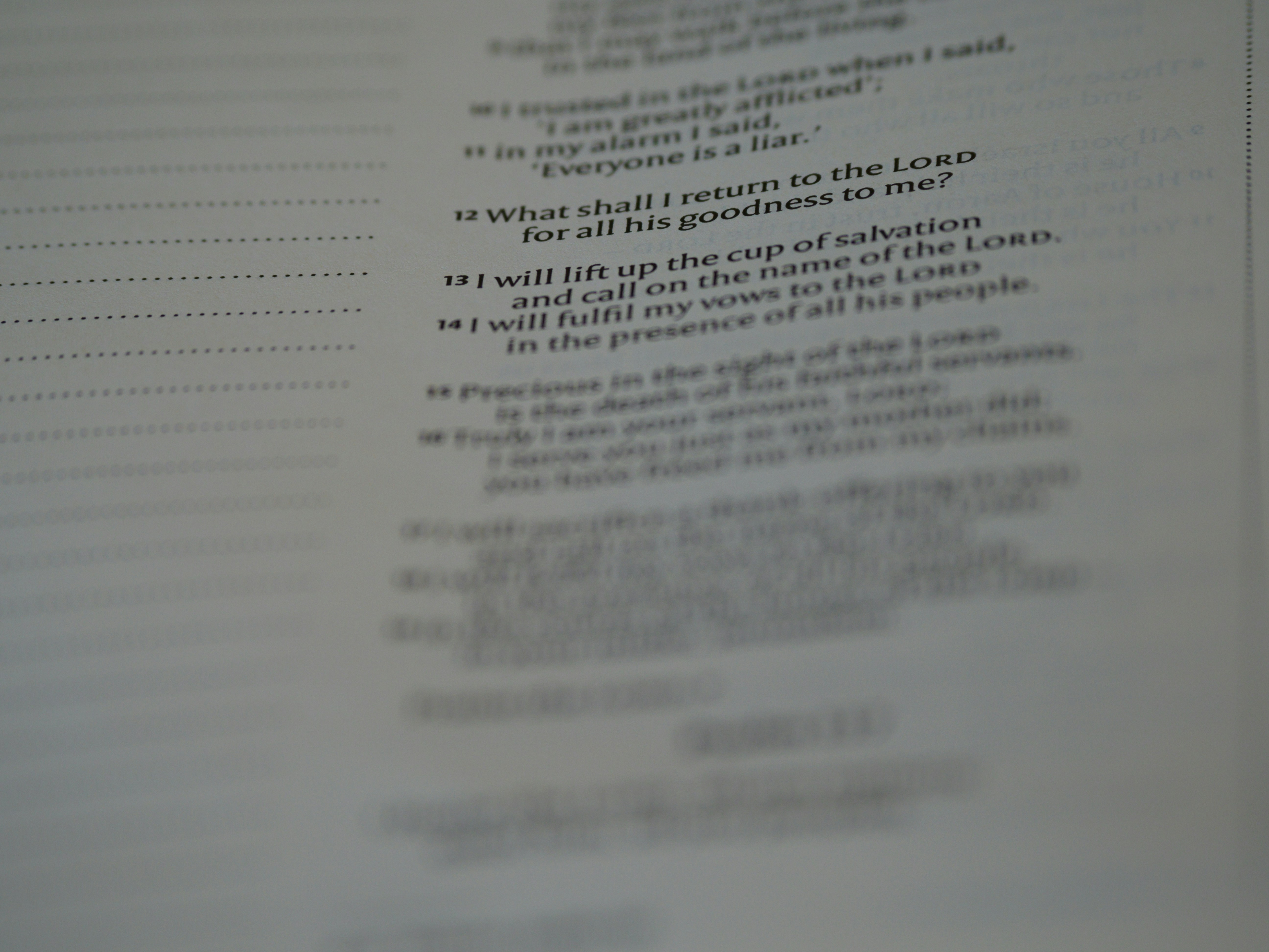 Close up, bokeh, macro, blur, blurred background, close focus, bible, old testament, hebrew bible, christian, judaism, history, text, reading, bible study, devotions, text, NIV, New International Version, type, typography, canon, christianity, holy scripture, holy bible, scripture, old testament, hebrew bible, תְּהִלִּים, psalms, psalter, psalm, ketuvim, writings, tanakh, king david, 
 by School Play Scripts a page of a book