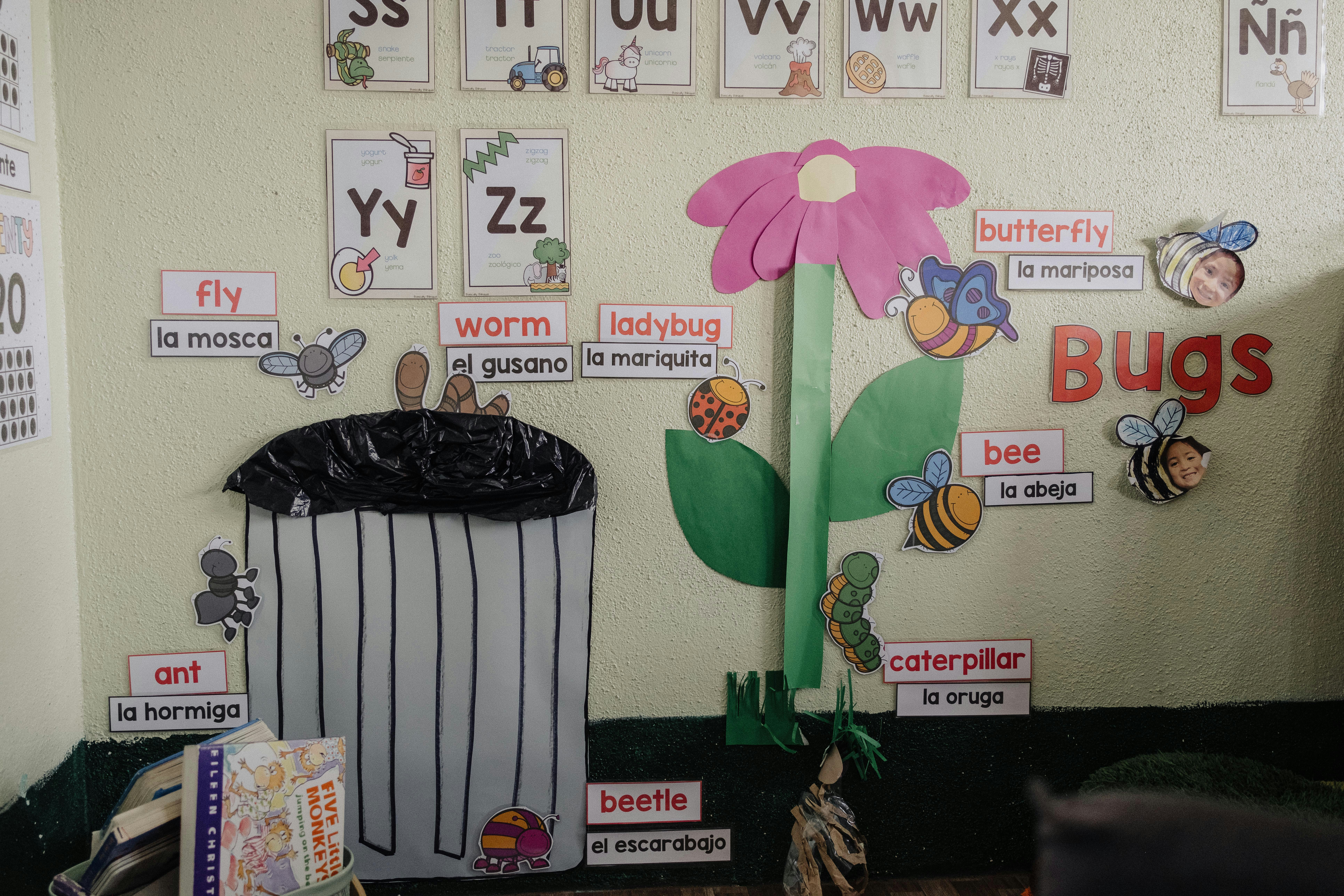 A bulletin board with a flower and bugs on it