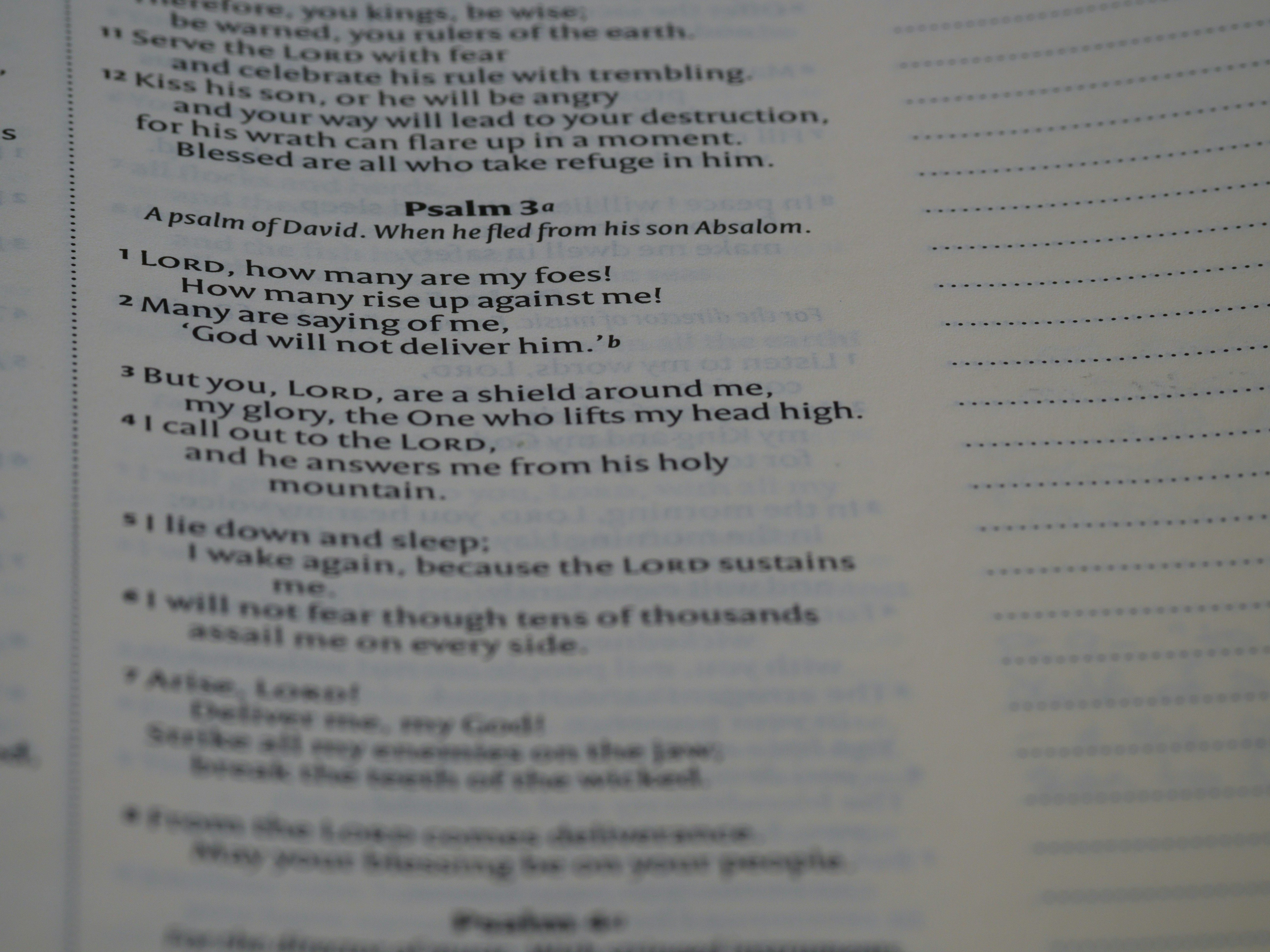 Close up, bokeh, macro, blur, blurred background, close focus, bible, old testament, hebrew bible, christian, judaism, history, text, reading, bible study, devotions, text, NIV, New International Version, type, typography, canon, christianity, holy scripture, holy bible, scripture, old testament, hebrew bible, תְּהִלִּים, psalms, psalter, ketuvim, writings, tanakh, king david,
by School Play Scripts a close up of a text on a book